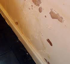 Renovating Your Home? Ensure Waterproofing of Walls Like A Pro!
